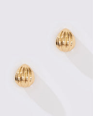 Shell Hoop Earring