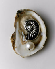 Statement Shell Earring