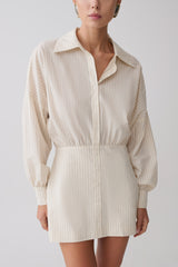 Ivy Shirt Mini Dress